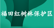 福田紅樹林保護區